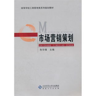 市場營銷策劃 戰(zhàn)略、執(zhí)行與優(yōu)化